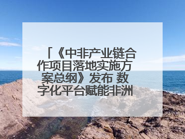 《中非产业链合作项目落地实施方案总纲》发布 数字化平台赋能非洲发展驶入快车道