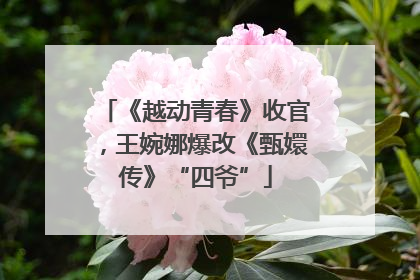 《越动青春》收官，王婉娜爆改《甄嬛传》“四爷”