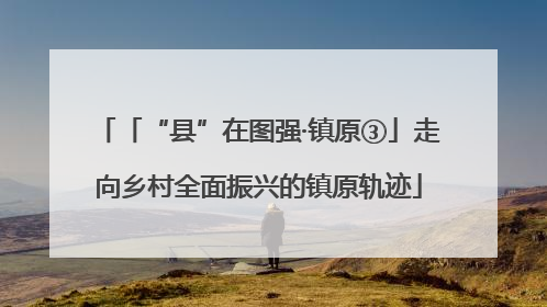 「“县”在图强·镇原③」走向乡村全面振兴的镇原轨迹