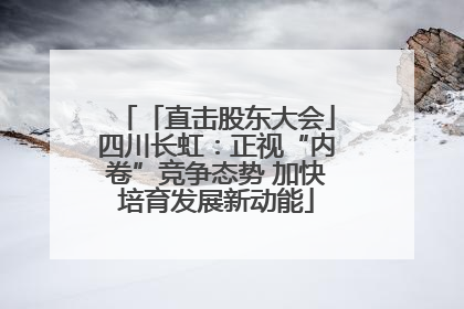 「直击股东大会」四川长虹：正视“内卷”竞争态势 加快培育发展新动能