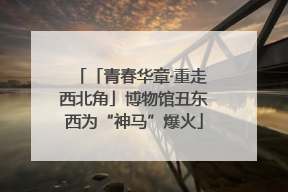 「青春华章·重走西北角」博物馆丑东西为“神马”爆火