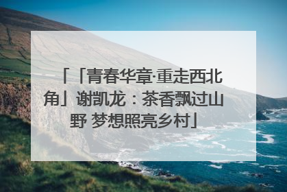 「青春华章·重走西北角」谢凯龙：茶香飘过山野 梦想照亮乡村