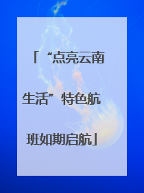 “点亮云南生活”特色航班如期启航