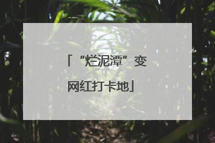 “烂泥潭”变网红打卡地