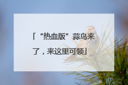 “热血版”蒜鸟来了，来这里可领