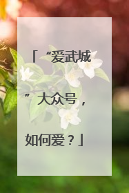 “爱武城”大众号，如何爱？