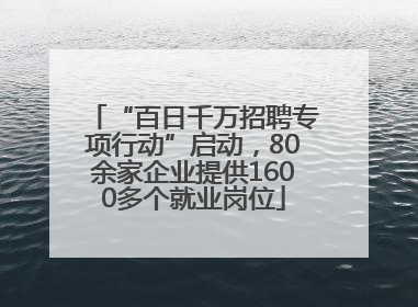 “百日千万招聘专项行动”启动，80余家企业提供1600多个就业岗位