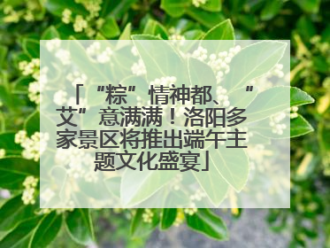 “粽”情神都、“艾”意满满！洛阳多家景区将推出端午主题文化盛宴