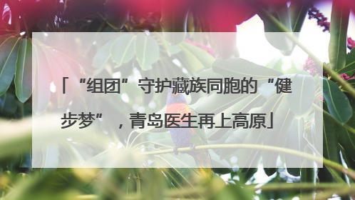 “组团”守护藏族同胞的“健步梦”，青岛医生再上高原