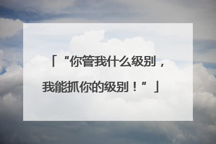 “你管我什么级别，我能抓你的级别！”