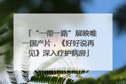 “一带一路”展映唯一国产片，《好好说再见》深入疗护病房