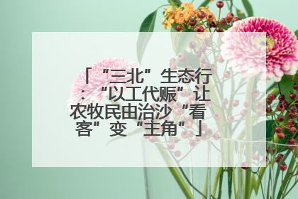 “三北”生态行：“以工代赈”让农牧民由治沙“看客”变“主角”