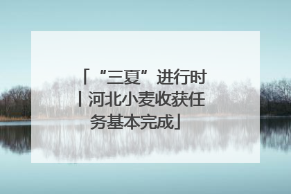 “三夏”进行时丨河北小麦收获任务基本完成