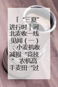 “三夏”进行时｜河北麦收一线见闻（一）：小麦机收减损“竞技” 农机高手麦田“过招”