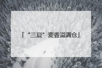 “三夏”麦香溢满仓