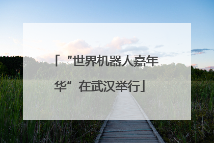 “世界机器人嘉年华”在武汉举行