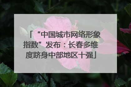 “中国城市网络形象指数”发布：长春多维度跻身中部地区十强