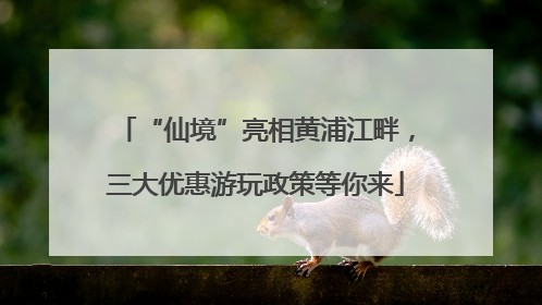 “仙境”亮相黄浦江畔，三大优惠游玩政策等你来