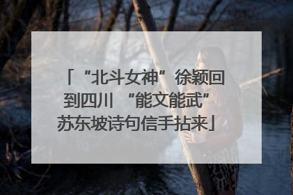 “北斗女神”徐颖回到四川 “能文能武”苏东坡诗句信手拈来