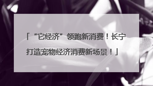 “它经济”领跑新消费！长宁打造宠物经济消费新场景！