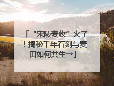 “宋陵麦收”火了！揭秘千年石刻与麦田如何共生→