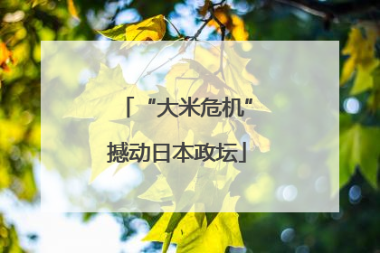 “大米危机”撼动日本政坛