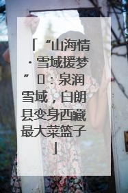 “山海情・雪域援梦”⑪：泉润雪域，白朗县变身西藏最大菜篮子