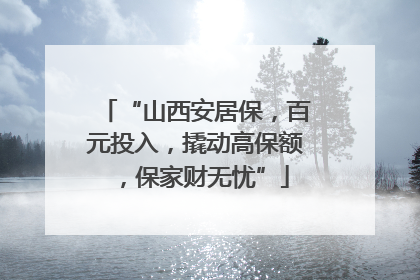 “山西安居保，百元投入，撬动高保额，保家财无忧”