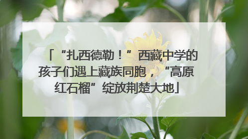 “扎西德勒！”西藏中学的孩子们遇上藏族同胞，“高原红石榴”绽放荆楚大地
