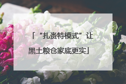 “扎赉特模式”让黑土粮仓家底更实