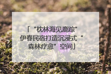 “枕林海见鹿踪” 伊春民宿打造沉浸式“森林疗愈”空间