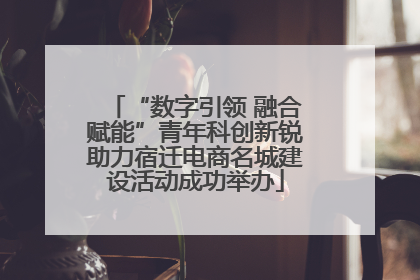 “数字引领 融合赋能”青年科创新锐助力宿迁电商名城建设活动成功举办