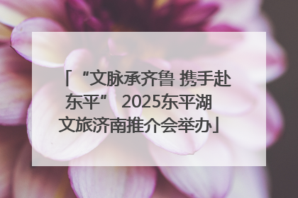 “文脉承齐鲁 携手赴东平” 2025东平湖文旅济南推介会举办