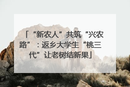 “新农人”共筑“兴农路”：返乡大学生“桃三代”让老树结新果