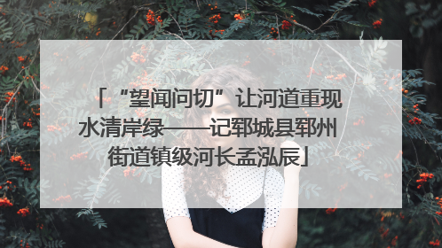 “望闻问切”让河道重现水清岸绿——记郓城县郓州街道镇级河长孟泓辰