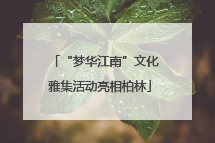 “梦华江南”文化雅集活动亮相柏林