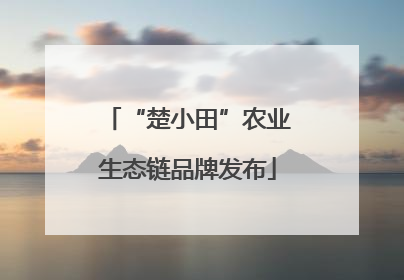 “楚小田”农业生态链品牌发布