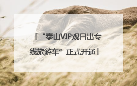 “泰山VIP观日出专线旅游车”正式开通