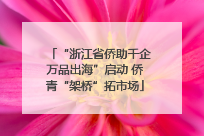 “浙江省侨助千企万品出海”启动 侨青“架桥”拓市场