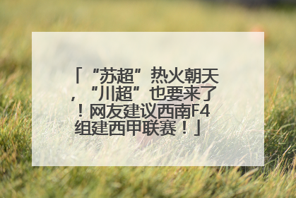 “苏超”热火朝天，“川超”也要来了！网友建议西南F4组建西甲联赛！