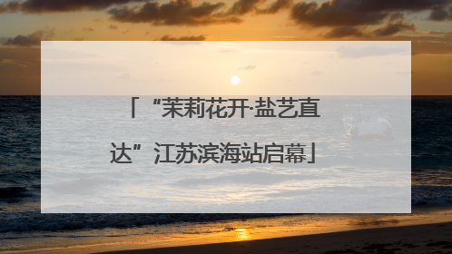 “茉莉花开·盐艺直达”江苏滨海站启幕