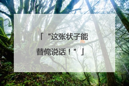 “这张状子能替俺说话！”