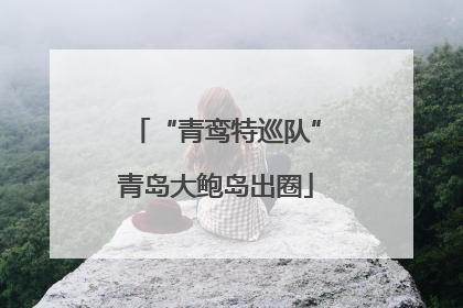 “青鸾特巡队”青岛大鲍岛出圈