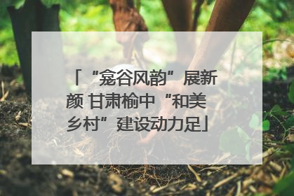 “龛谷风韵”展新颜 甘肃榆中“和美乡村”建设动力足