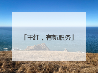 王红，有新职务