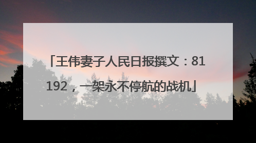 王伟妻子人民日报撰文：81192，一架永不停航的战机