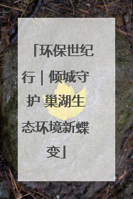 环保世纪行｜倾城守护 巢湖生态环境新蝶变