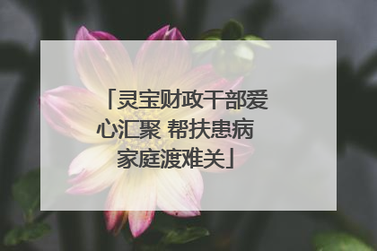 灵宝财政干部爱心汇聚 帮扶患病家庭渡难关
