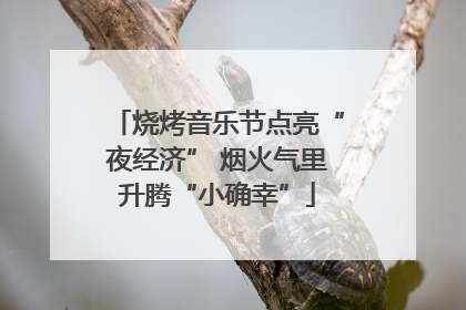 烧烤音乐节点亮“夜经济” 烟火气里升腾“小确幸”