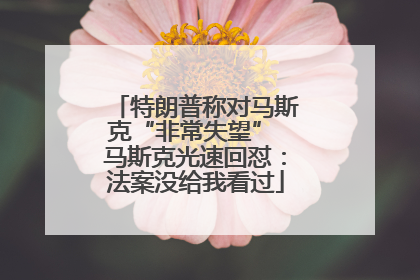 特朗普称对马斯克“非常失望” 马斯克光速回怼：法案没给我看过